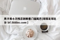 男子用小刀残忍割断看门猫尾巴{球探足球比分 bf.588bo.com }